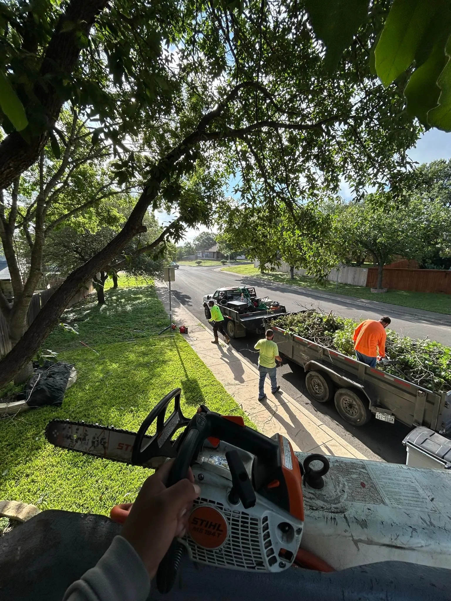 View from the bucket high in a tall tree over a San Antonio home