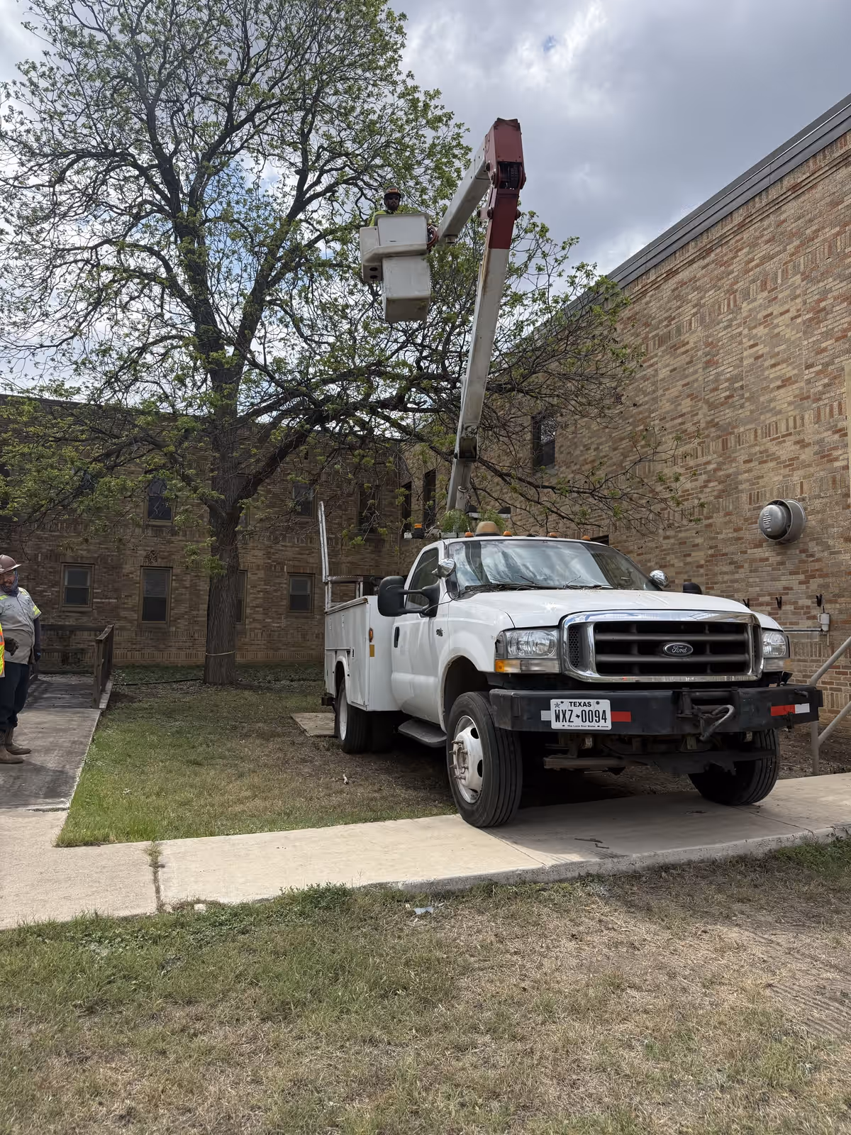 Bucket truck and groundman working a tree at the San Antonio State Hospital