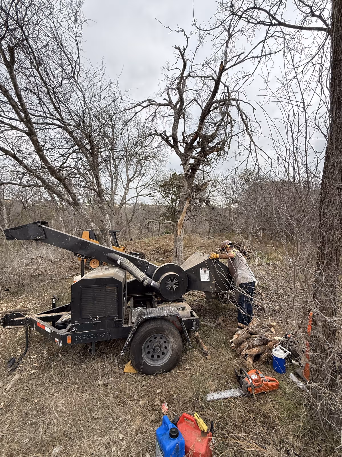 Worker feeding brush into a wood chipper on a lot clearing