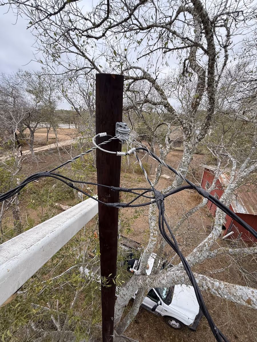 Tree limbs grown into overhead service lines beside a power pole