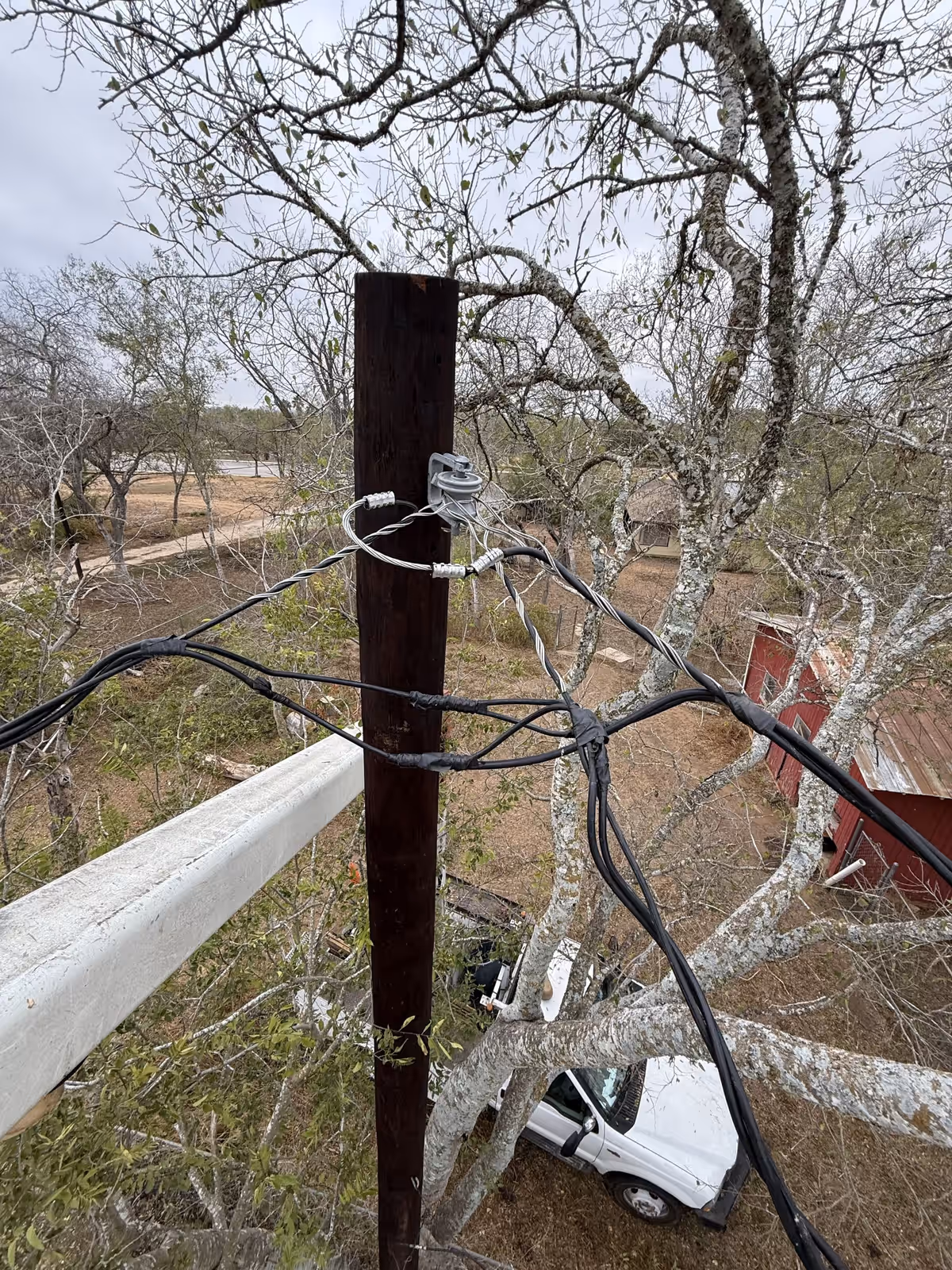 Tree limbs grown into overhead service lines beside a power pole