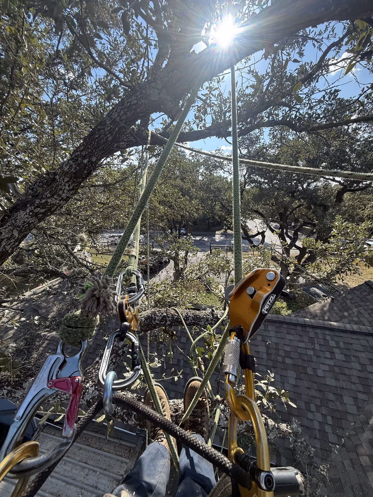 Climber POV tied in over a rooftop, rigging limbs off the house