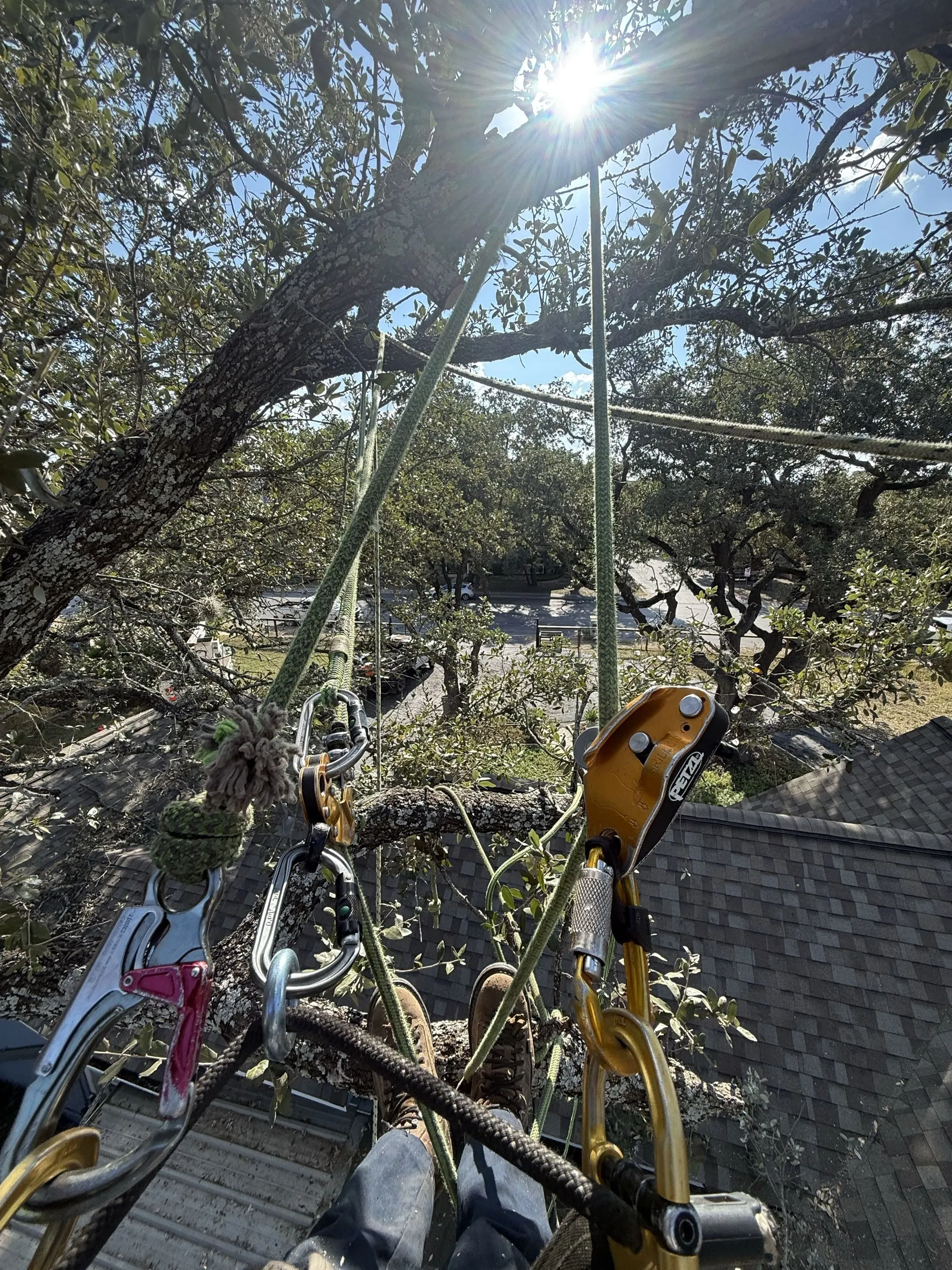 Climber POV tied in over a rooftop, rigging limbs off the house
