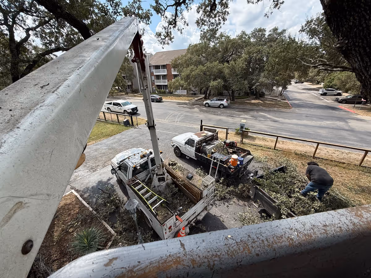 Two work trucks and a crew gathering brush at an apartment property