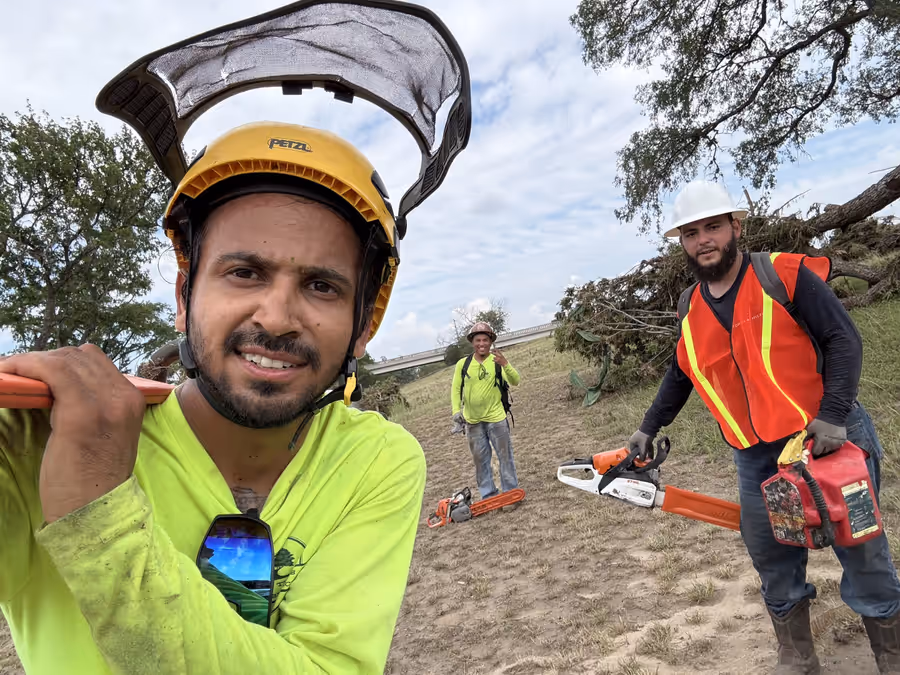 Three crew members in hi-vis and hard hats with chainsaws on a storm cleanup