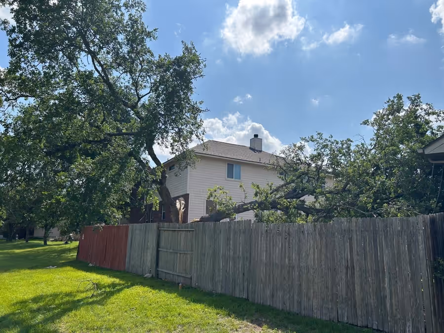 Large live oak limb torn down across a back fence beside a two-story house